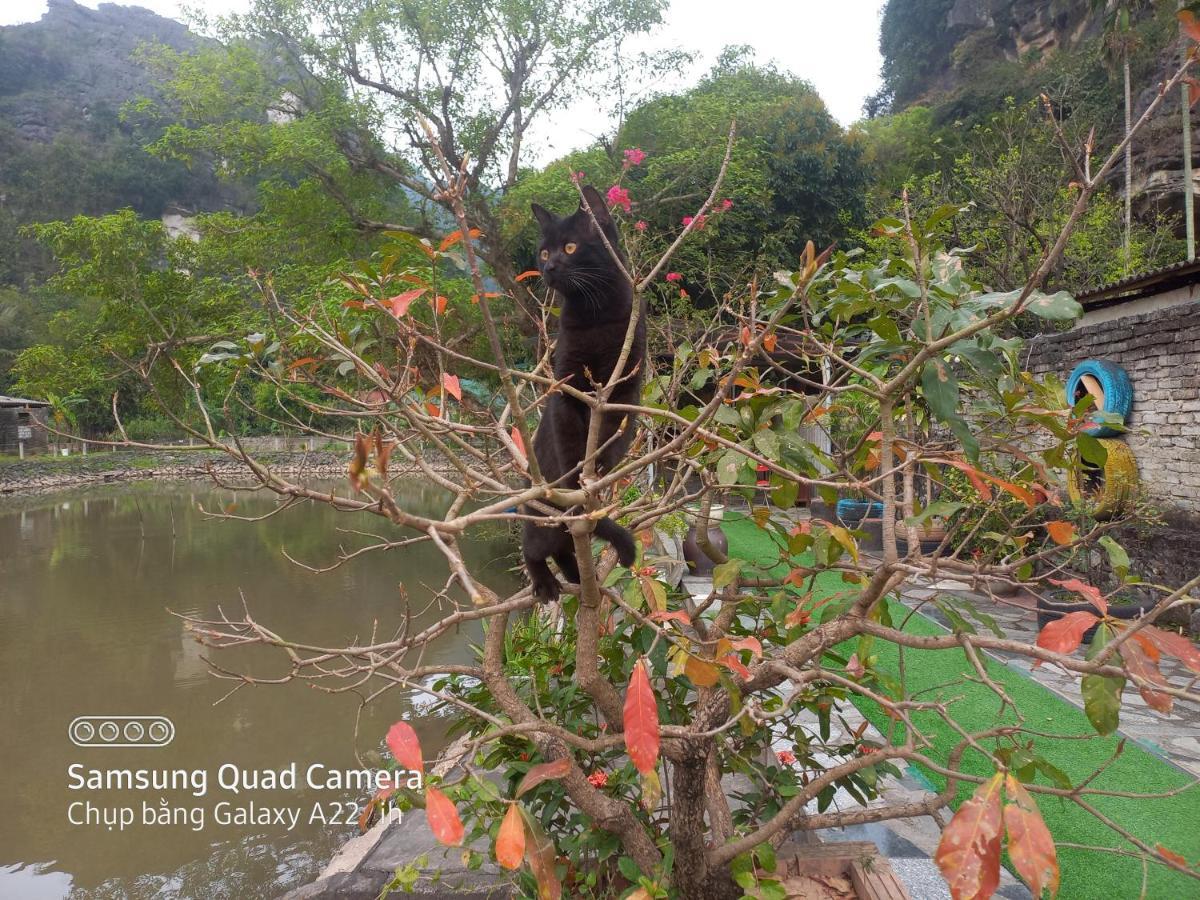 Trang An Pristine View Homestay นิญบิ่ญ ภายนอก รูปภาพ